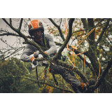 STIHL GTA 40 SET Akumulatorowa przecinarka