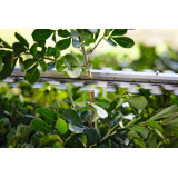 STIHL HSA 40 Nożyce akumulatorowe, 500mm/20"