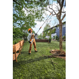 STILH HTA 30 SET Podkrzesywarka akumulatorowa